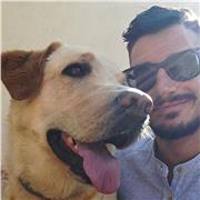 Neolaureato impartisce lezioni di Ragioneria, Matematica finanziaria, Algebra, Matematica primo biennio, statistica, economia